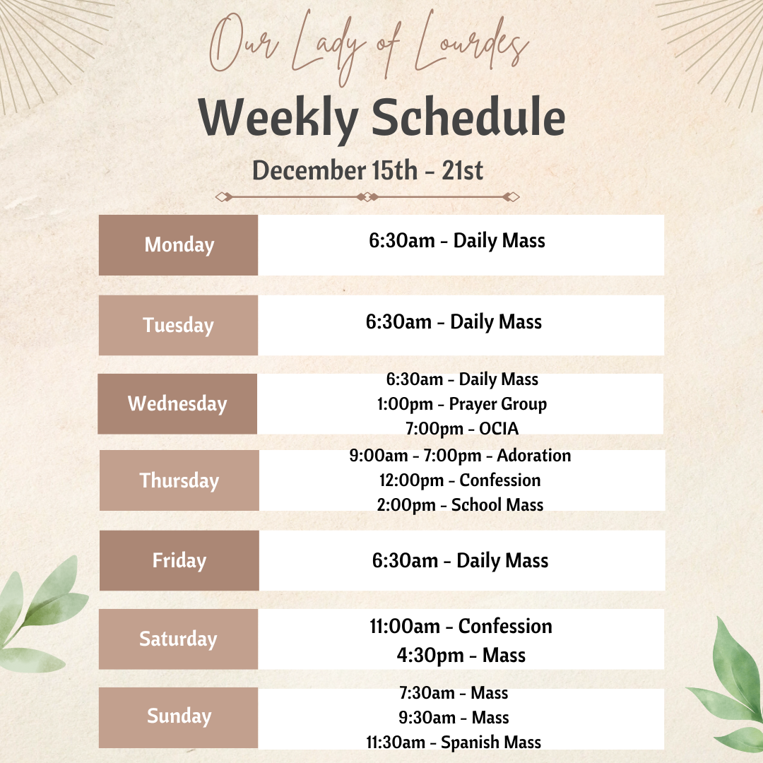 Our Lady of Lourdes (14)