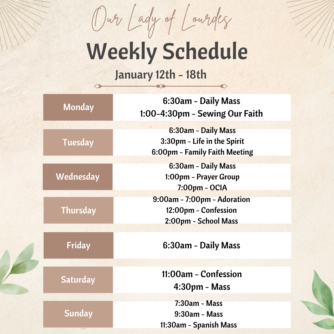 Our Lady of Lourdes (15)